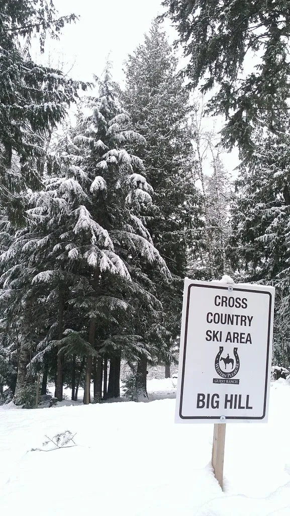 Cross Country Skiing
