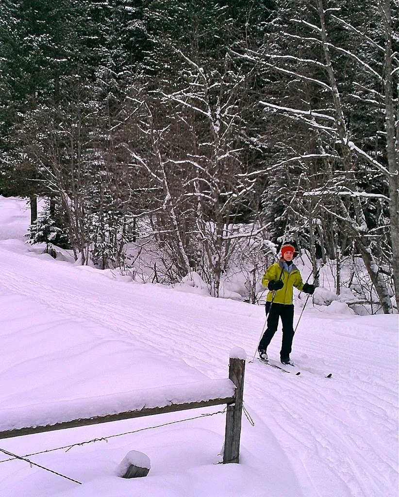 Cross Country Skiing