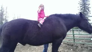 The Bigger the Horse the Bigger the Heart