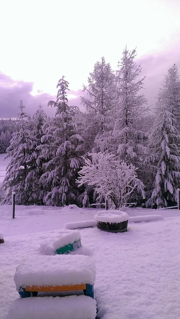 Has winter returned?