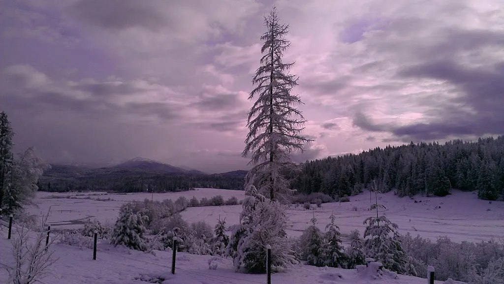 Has winter returned?