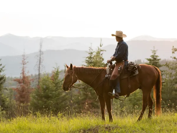Cowboy riding a Sorrel Quarter Horse Gelding looking out at the mountains and trees