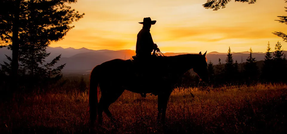 How do I choose the best western vacation?