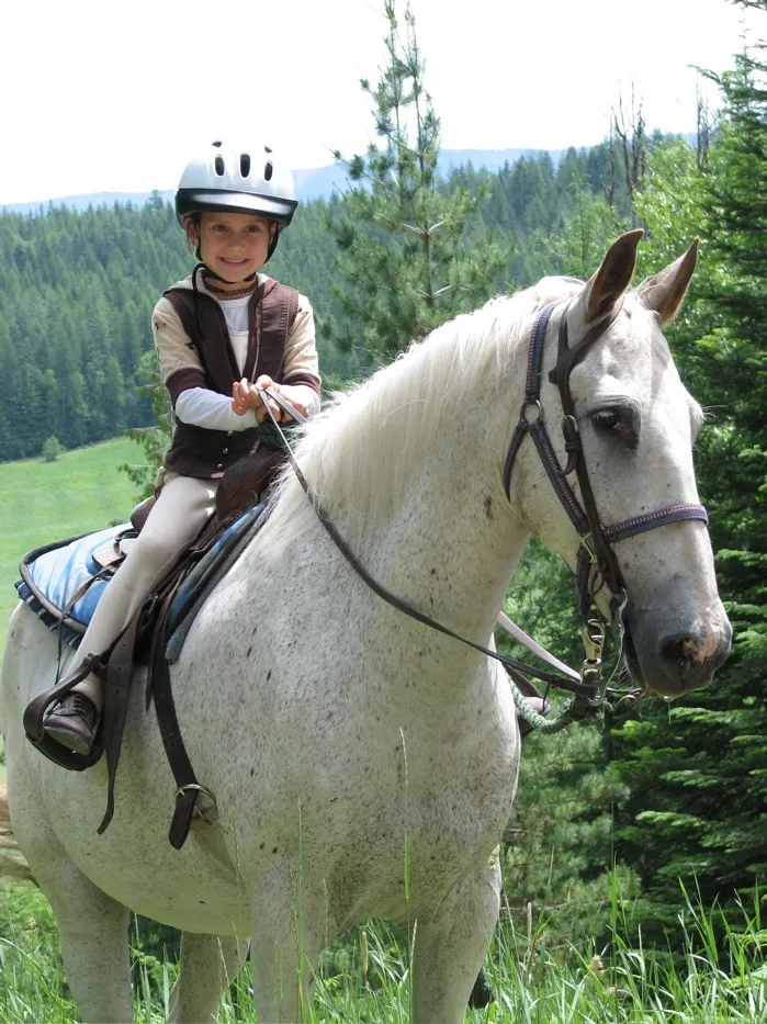 Horses for Sale at Western Pleasure Guest Ranch