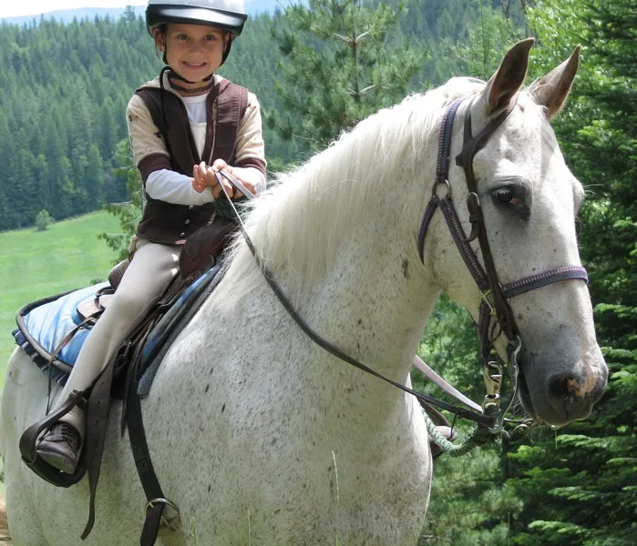 Horses for Sale at Western Pleasure Guest Ranch