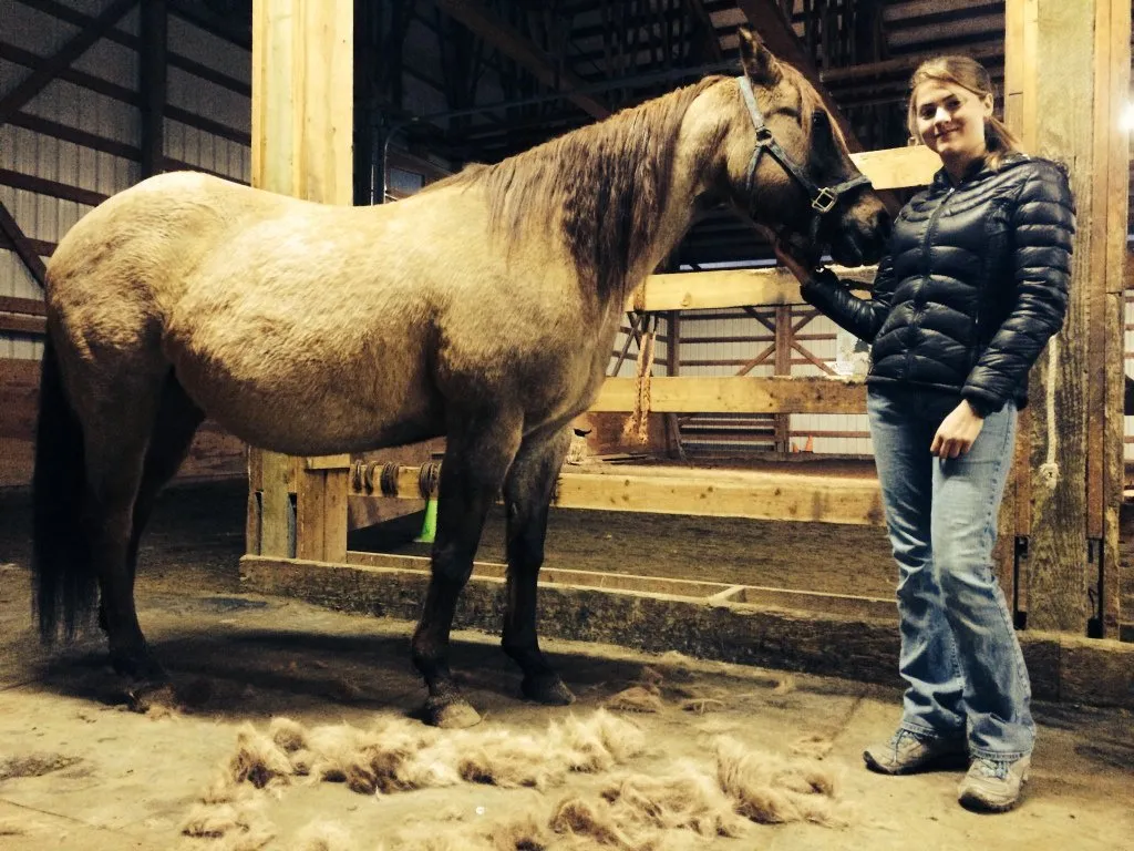 Friday Pregnant mare at Western Pleasure Guest Ranch
