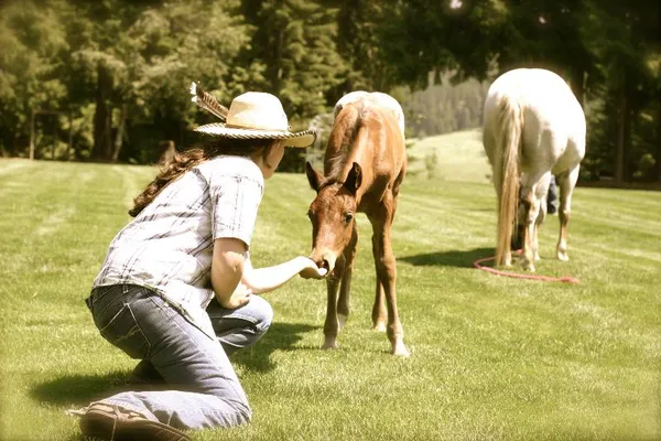 A woman in a straw hat kneels to greet a foal in a pasture