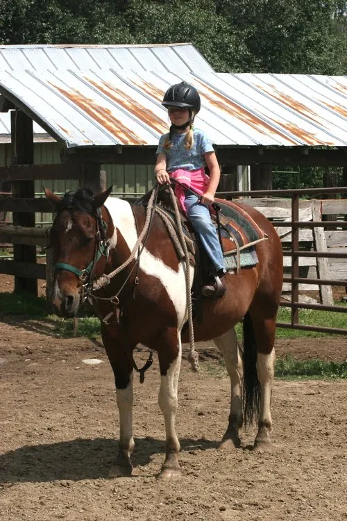 Horses for Sale at Western Pleasure Guest Ranch