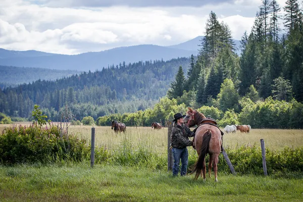 cowboy in green field getting ready to get on his horse