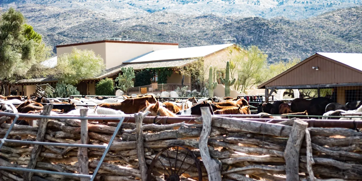 Arizona Dude Ranch