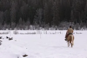 Has Spring Sprung in North Idaho?