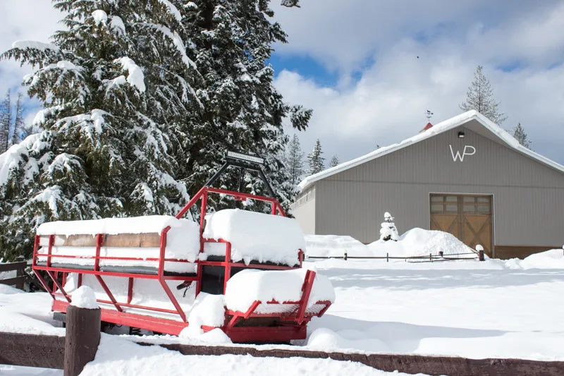 Western Pleasure Guest Ranch Adventure
