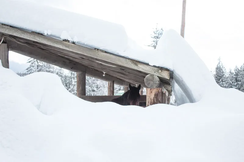 Western Pleasure Guest Ranch Winter