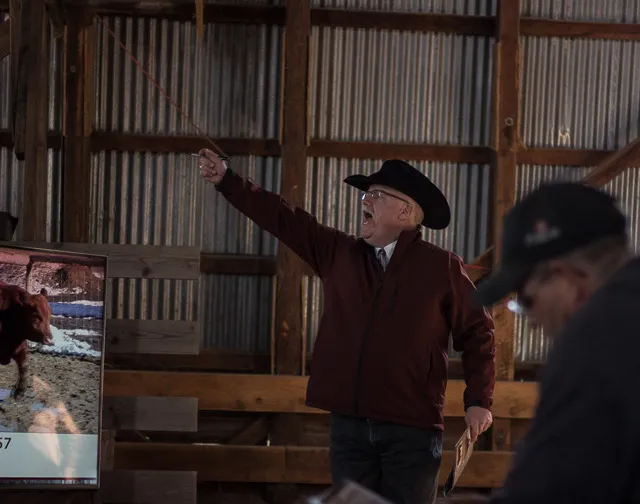 auctioneer