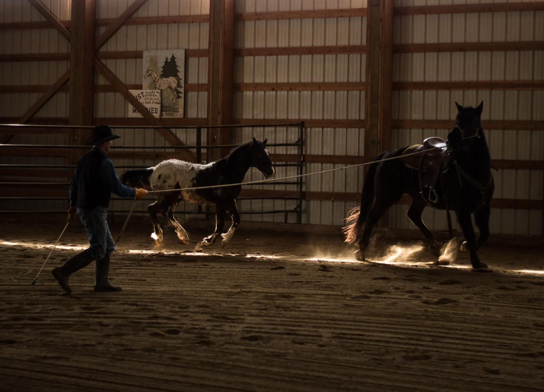 Groundwork at Western Pleasure Guest Ranch