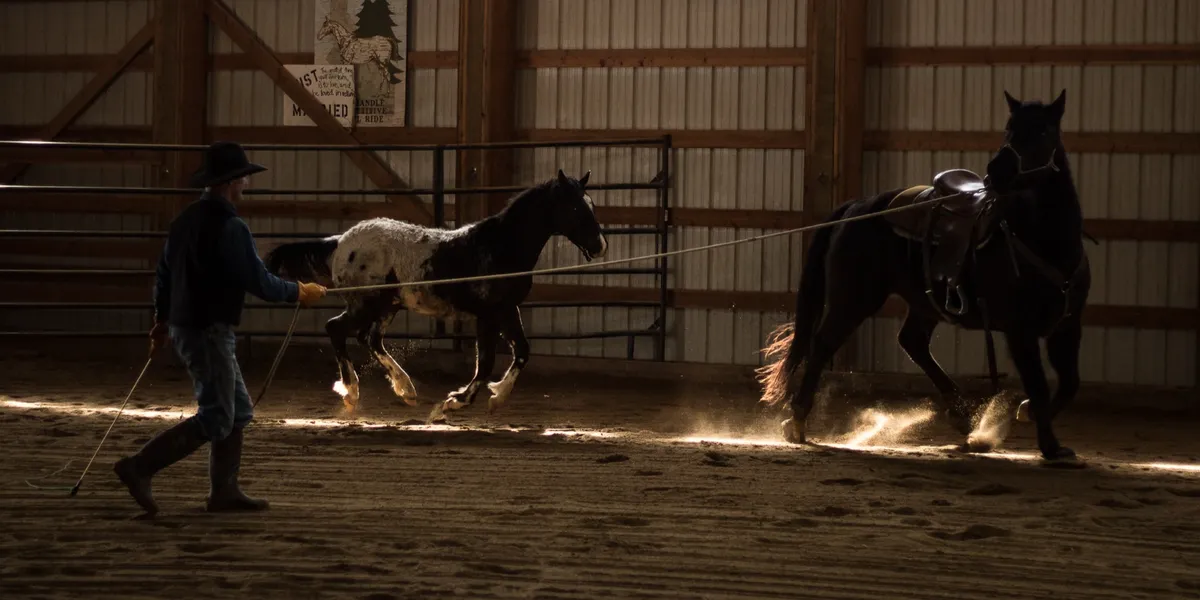 Groundwork at Western Pleasure Guest Ranch