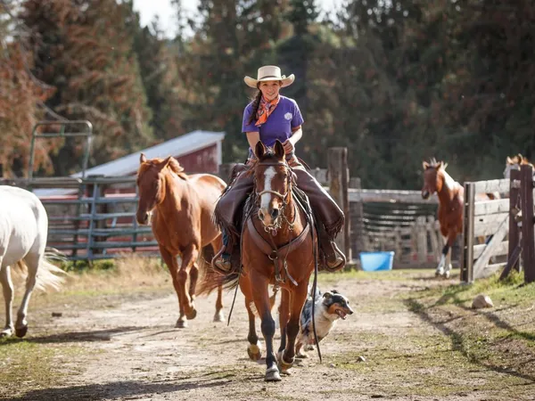 Cowgirl in chinks, purple shirt, scarf and cowboy hat smiling and riding a bay horse straight forward