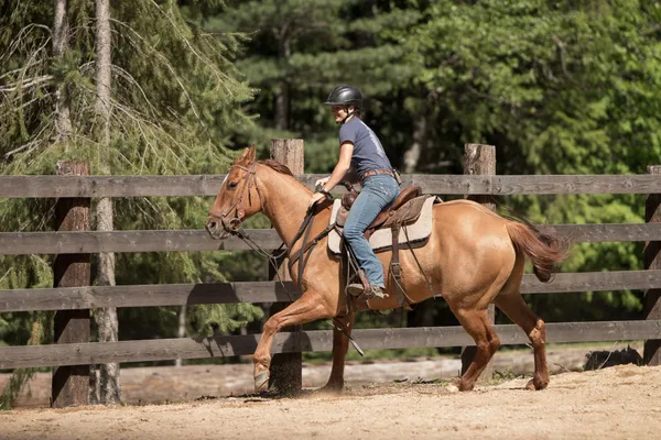 Girl riding a Dun Quarter Horse Gelding in an arena