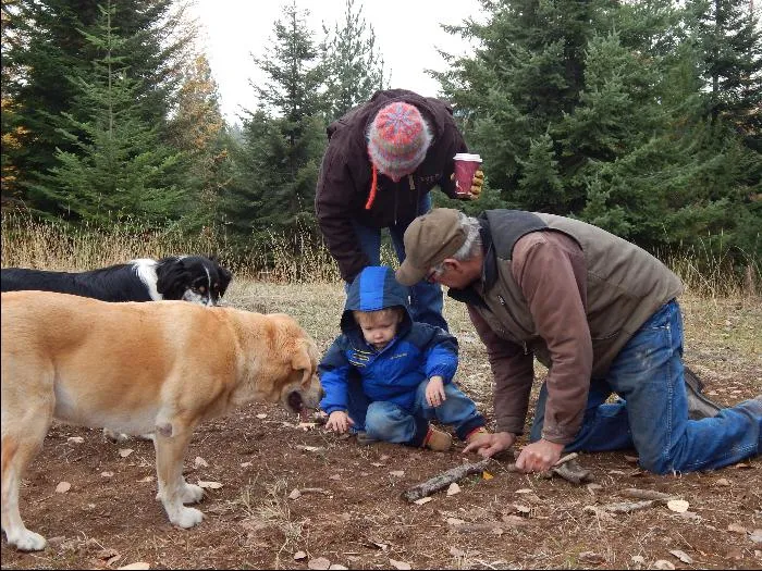 Inspecting seed