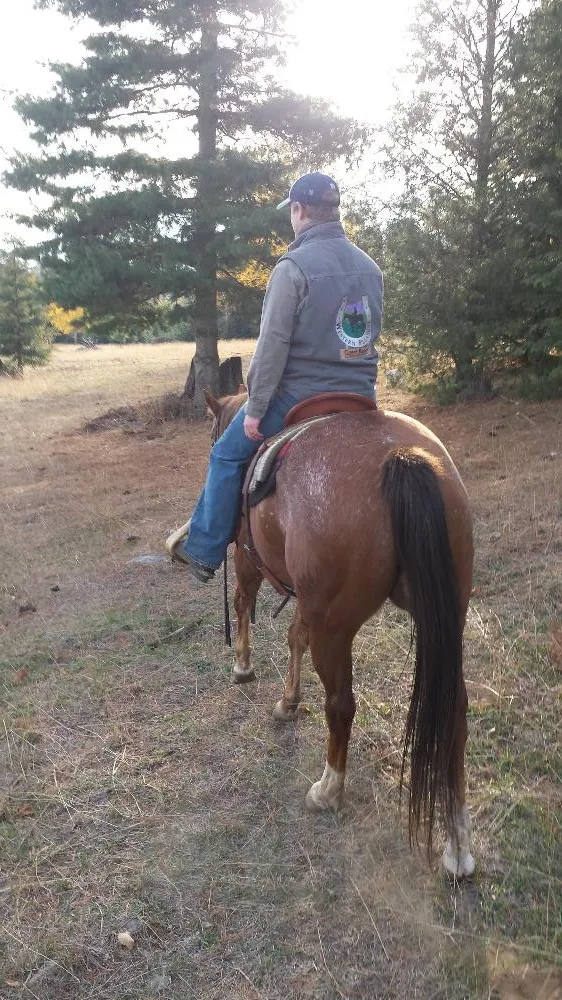 Landon and Turbo