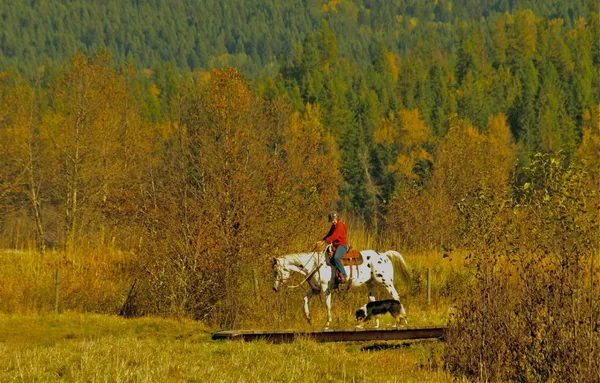 Horseback Trail Rides