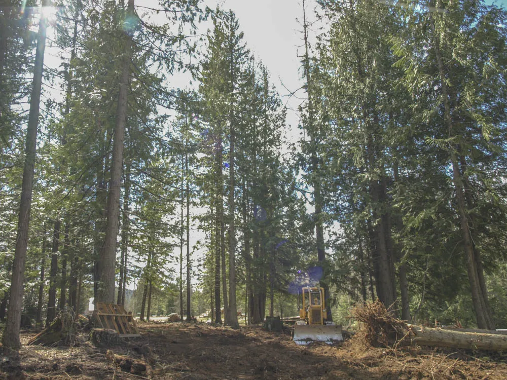 Day 5 arena site prep