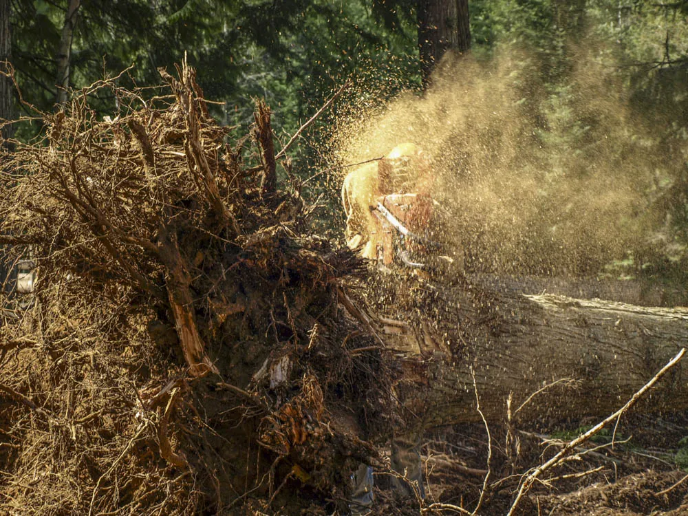 Isaac and the chainsaw