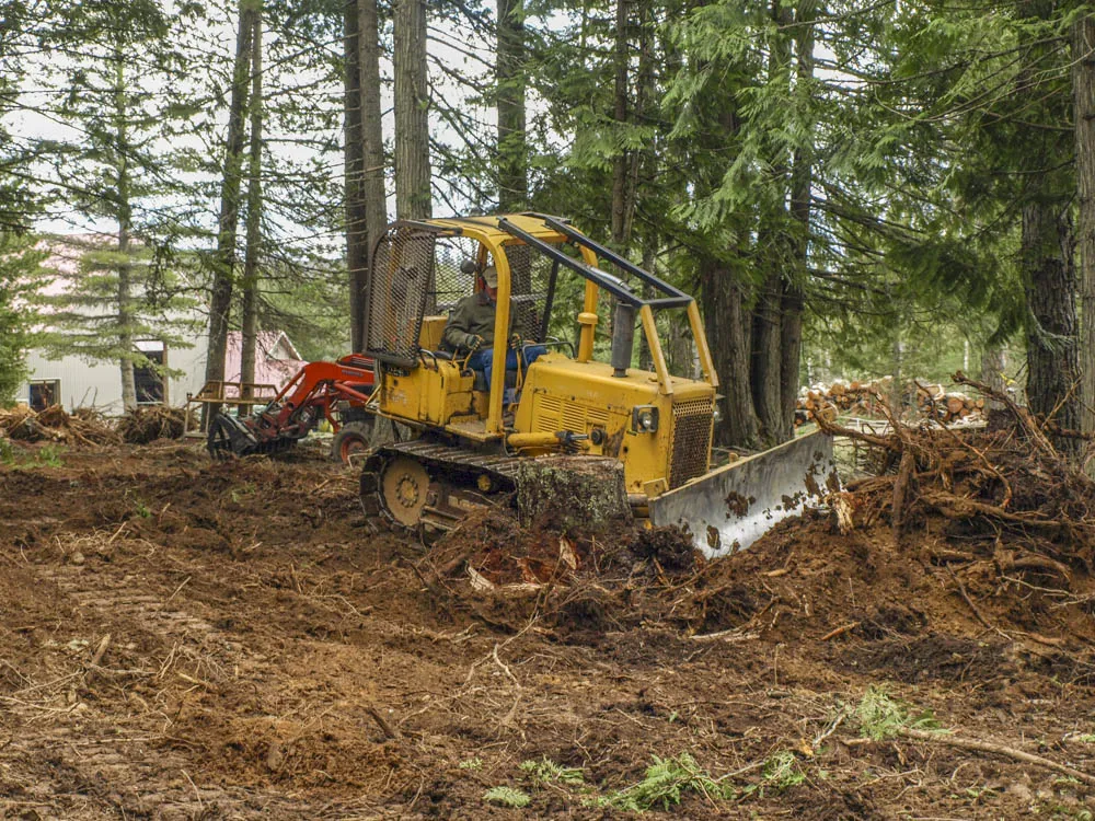 Stump removal