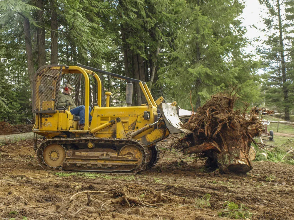 Stump removal success
