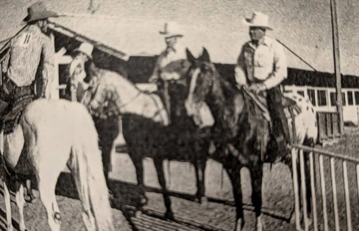 A Tribute to North Idaho's Longtime Appaloosa Breeders and Owners: Appaloosa History