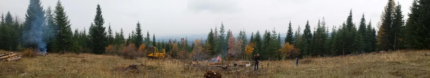 Panoramic view toward Schweitzer