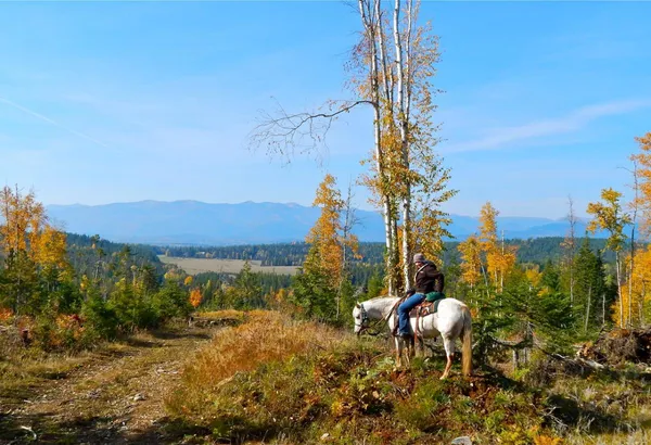 A rider on a grey horse looks out over the valley in fall