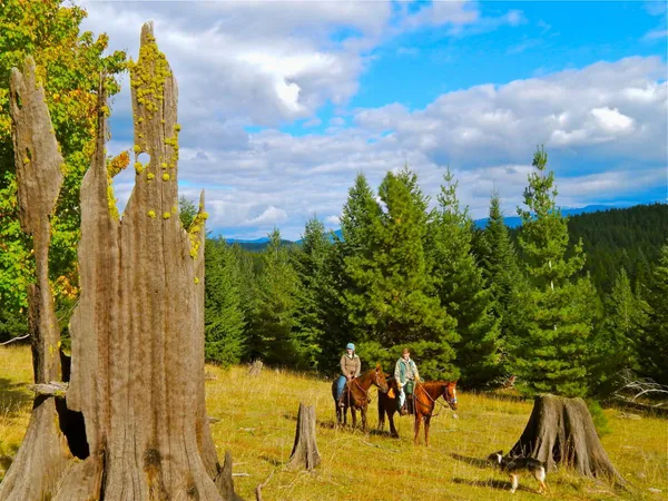 Riders rest among old burnt stumps in a fall meadow