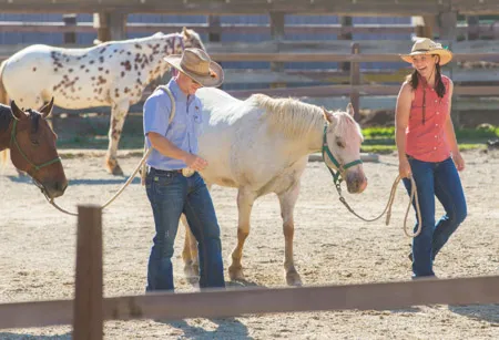 Authentic Travel Western Pleasure Guest Ranch