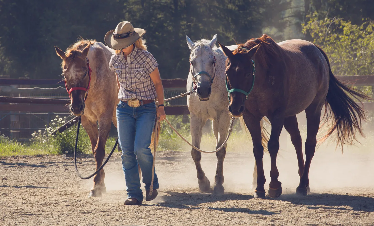 Authentic Travel Western Pleasure Guest Ranch