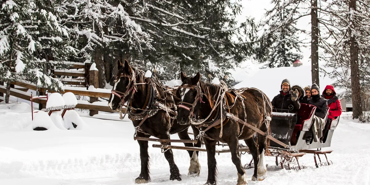 Roley at Western Pleasure Guest Ranch sleigh ride