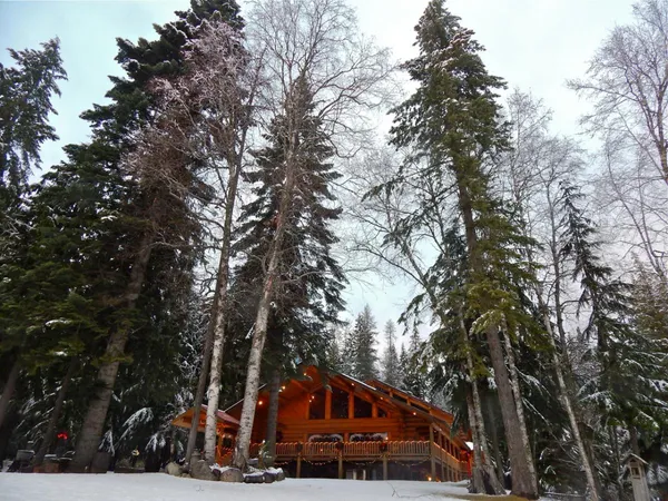 The log lodge under tall trees in winter