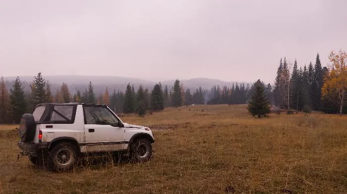 Timber management inspection tour