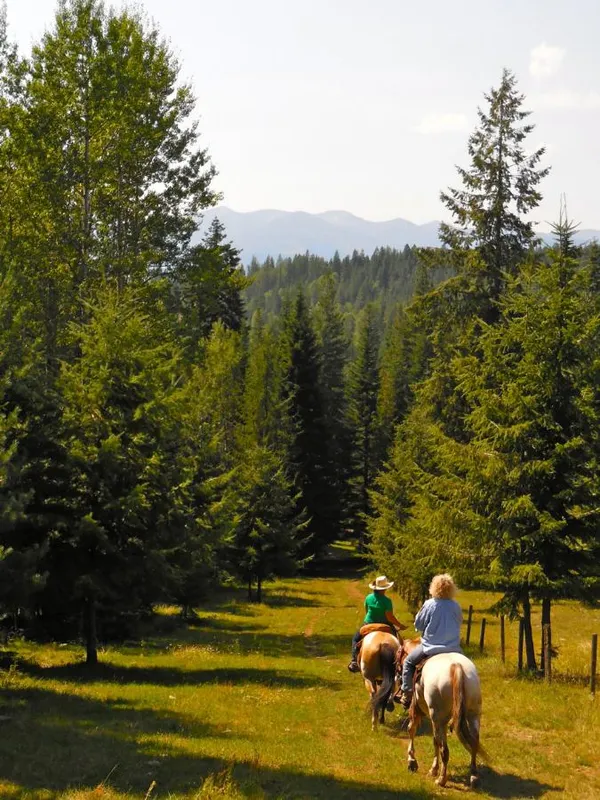 Trail Ride