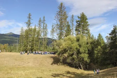 Idaho Tree Farm Tour 2016