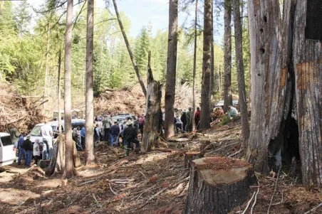 Tree Farm Tour 2016