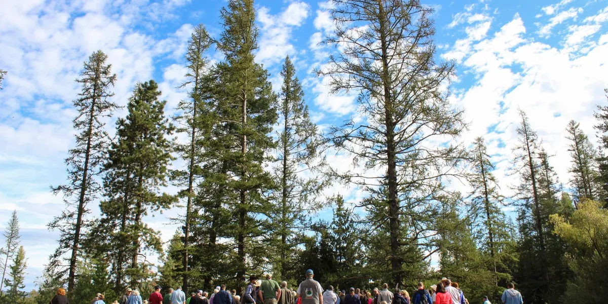 Idaho Tree Farm Tour 2016