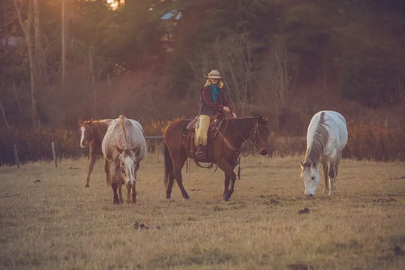 Wranglers and horses a western vacation