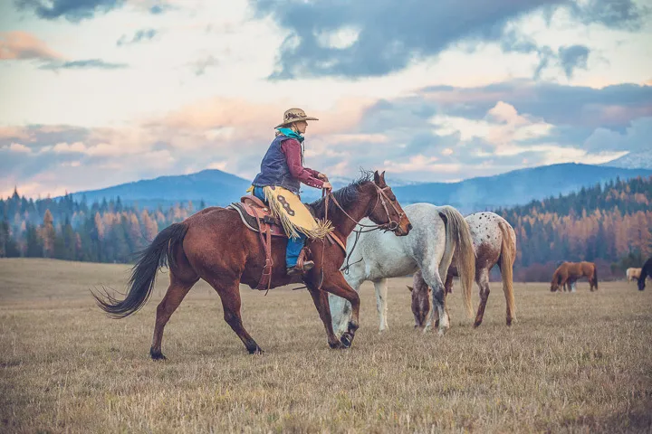 Amy Peterson - Selkirk Ridge Photography