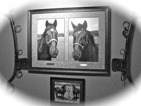 Amos and Andy