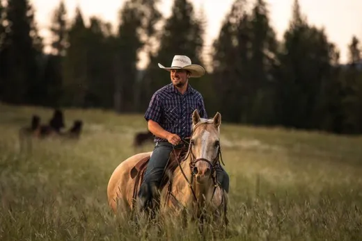 A cowboy wearing a western hat and plaid shirt riding a light-colored horse through a sun-drenched meadow