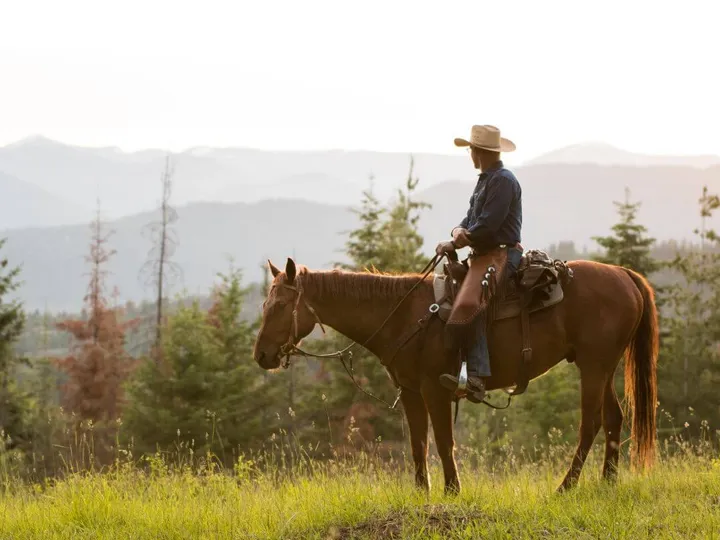 A cowboy on a sorrel horse on a grassy ridge with mountain ranges behind