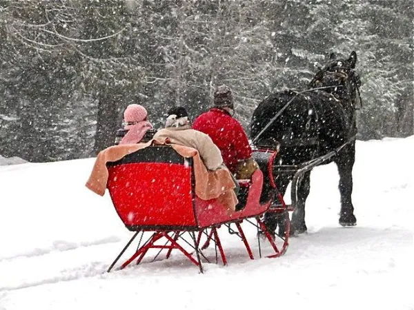 A black draft horse pulls a red sleigh full of bundled-up riders through falling snow