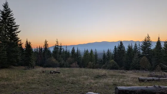 A grassy clearing ringed with evergreens, looking out to a mountain range at sunset
