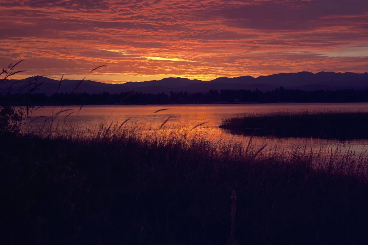 Sunset view of water, mountains and marsh grasses